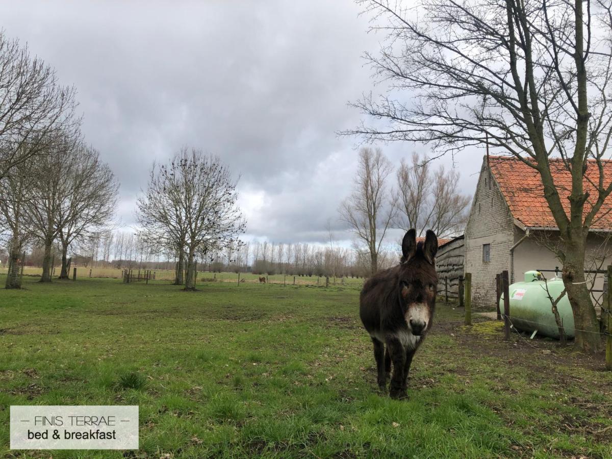 Appartement Aan Puyenbroeck Wachtebeke Zewnętrze zdjęcie